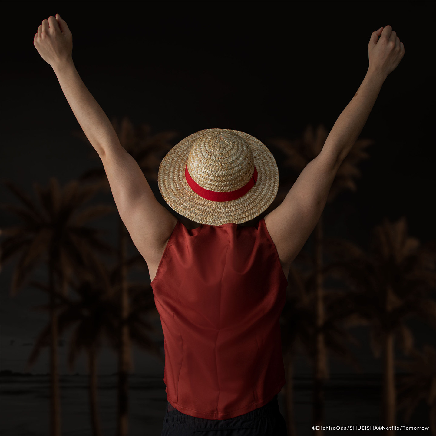 One Piece Straw Hat - Nuevo Sombrero de Paja de Luffy