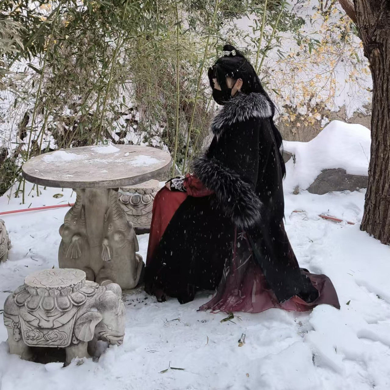 Disfraz de cosplay exótico de  - Anime Cosplay Armor reseña y precio