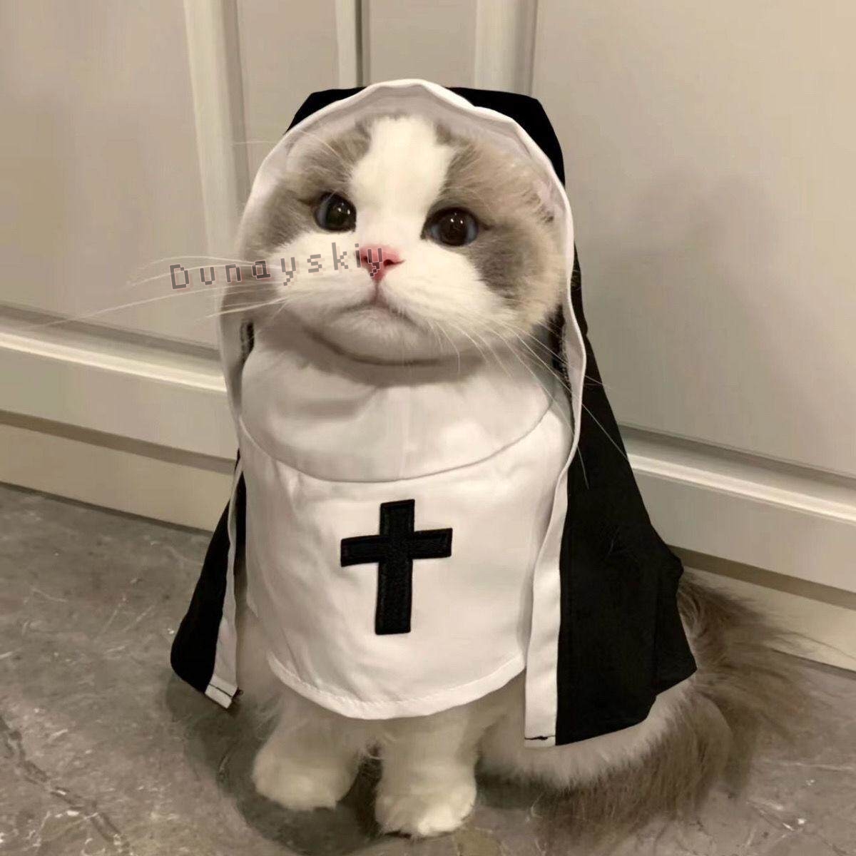 Disfraz de Navidad para Perros - Anime Cosplay Nun reseña y precio