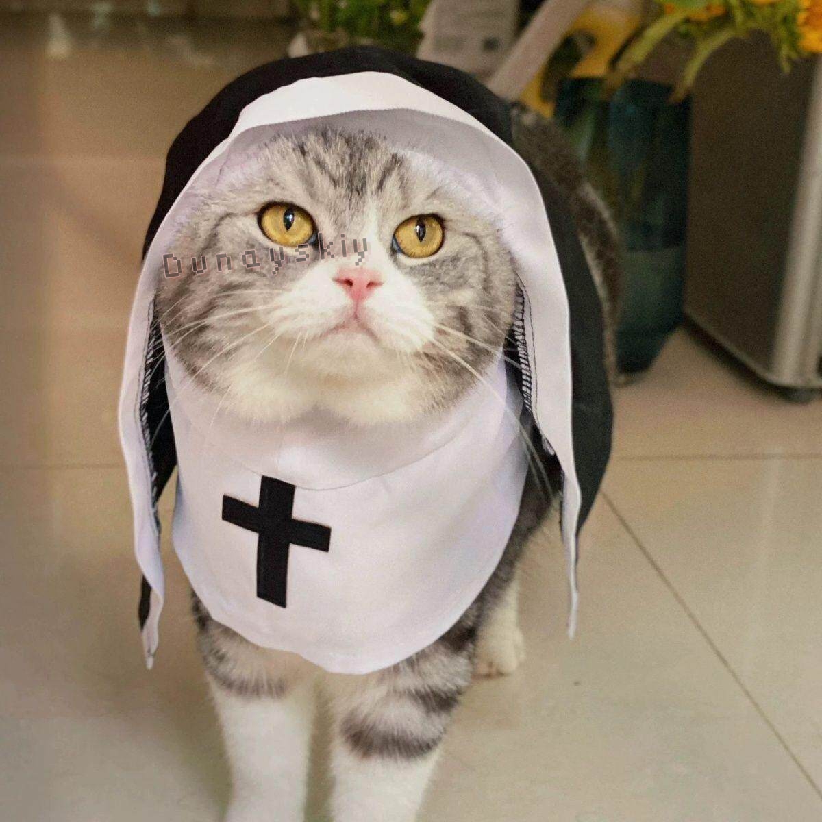 Disfraz de Navidad para Perros - Anime Cosplay Nun reseña y precio